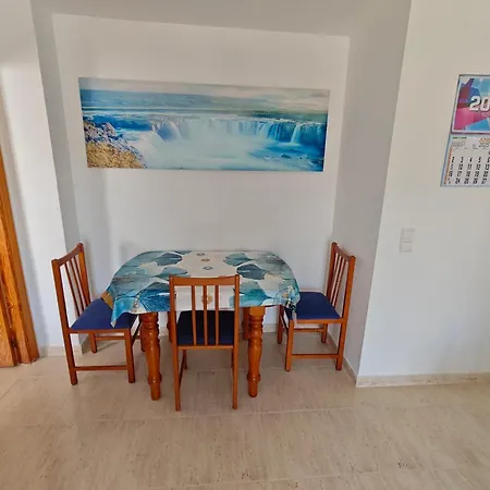 公寓 Floor With Terrace Near The 托雷维耶哈