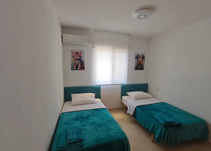 Floor With Terrace Near The 托雷维耶哈