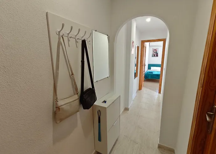 Floor With Terrace Near The * 托雷维耶哈