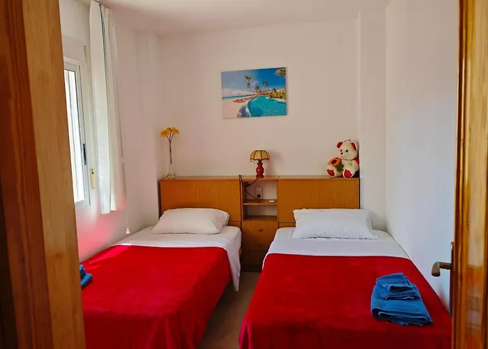 Floor With Terrace Near The 托雷维耶哈